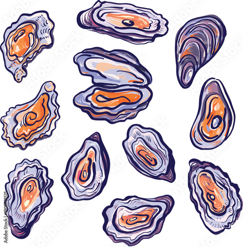 Colorful Sketch Oyster Collection in Decorative Vector Style