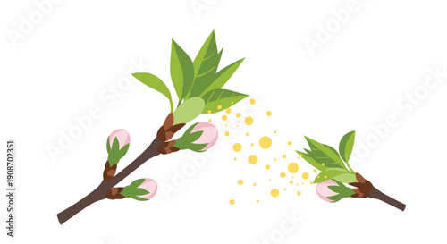 A cherry blossom branch with pink buds and green leaves is releasing yellow pollen on a white background.