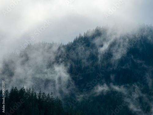 Wallpaper Mural Misty Mountain Forest Shrouded in Fog Over Coastal Hills Along Howe Sound, BC Torontodigital.ca