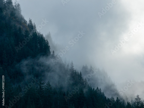 Wallpaper Mural Misty Forest on Mountain Ridge Shrouded in Fog Over Dense Pines in Howe Sound Torontodigital.ca