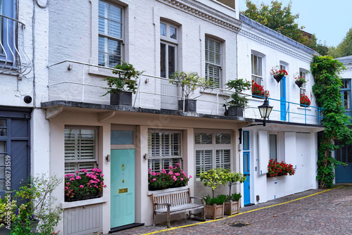 Tableau sur toile London, Kensington, mews houses with colorful flowers