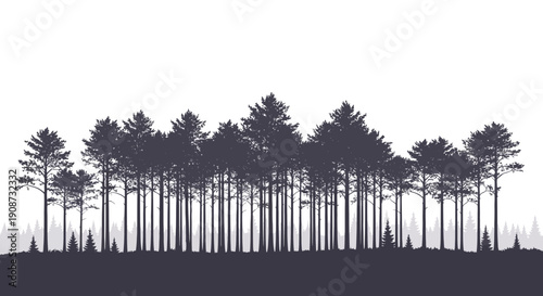 Silhouette of Trees on Hilltop Landscape.