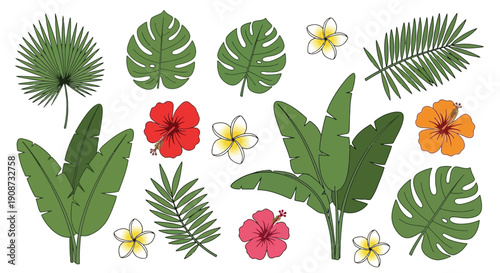 Tropical Leaves and Flowers Collection Vector Illustration.