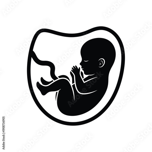 Human Fetus in Uterus Illustration