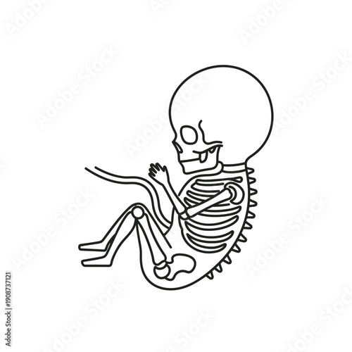 Fetal skeleton illustration concept