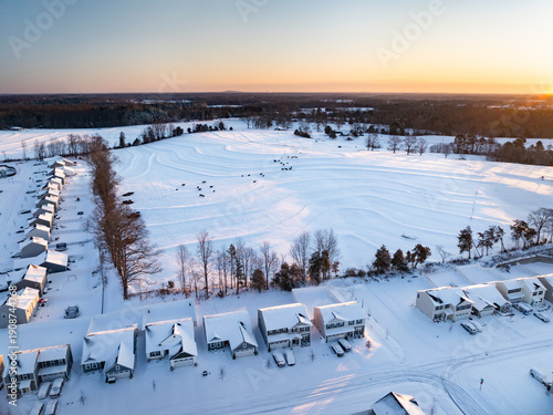 Cows in snow covered rural field surrounded by neighborhood development houses