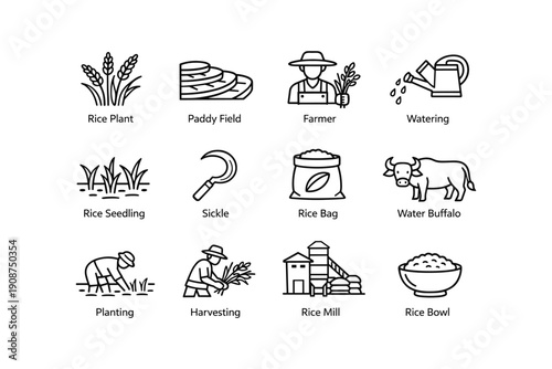 Black and white icons of rice farming process with tools and activities