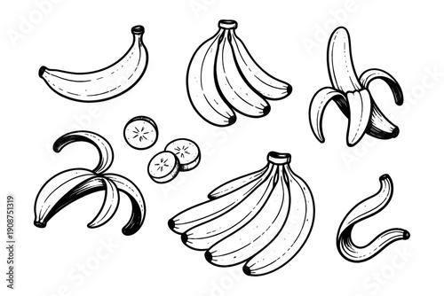 Hand-drawn banana illustrations: whole, sliced, and peeled variations