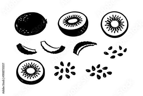 Hand-drawn kiwi fruit slices and seeds illustration