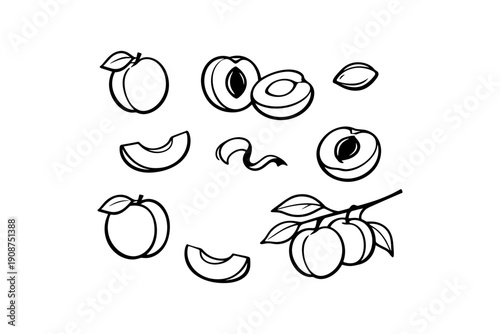 Black and white peach illustrations with slices and whole fruit