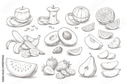 Hand-drawn sketches of various fruits featuring bananas apples oranges and more