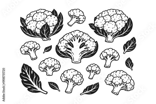 Black and white vector design of broccoli and leaves