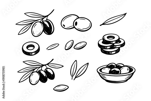 Hand-drawn olive and leaf set: bowl, branches, and rings