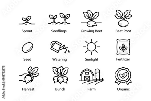 Garden icons: sprout, seed, watering, sunlight, harvest