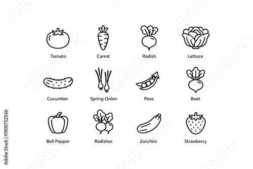 Set of vegetable and fruit icons: tomato, carrot, strawberry, cucumber, lettuce