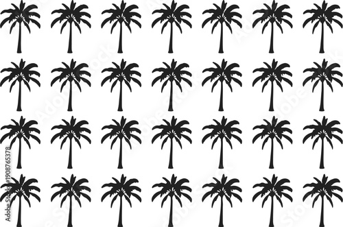 Tropical Palm Tree Silhouette Collection Various Styles and Sizes