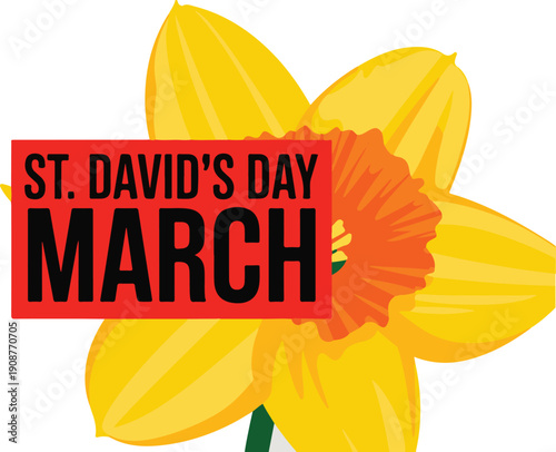 St David's Day March text on red box with large yellow daffodil, Welsh national flower