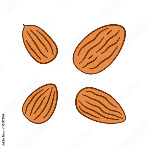 set of Almonds nut illustration. Almond nuts collection illustration. Almond nuts doodle set. collections of Almond.