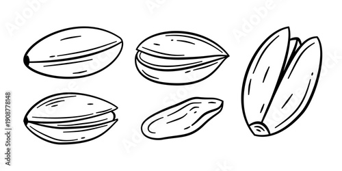 set of pistachio nut illustration. pistachio collection illustration. pistachio nuts doodle set. collections of pistachio.