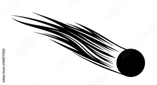 Black and white comet with curved tail lines creating movement