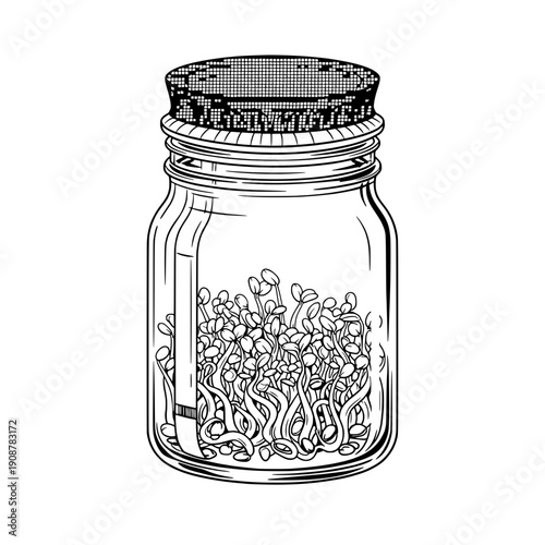 A jar containing tempeh, showing compacted soy beans and fermentation, black and white vector illustration