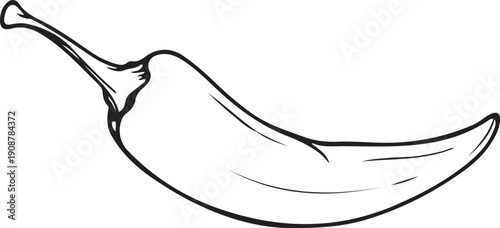 Chili pepper hot and spicy Hand-drawn Sketch Drawing Vector Illustration, Line Linear Symbol Engraving for Coloring Book, Black and White, Isolated