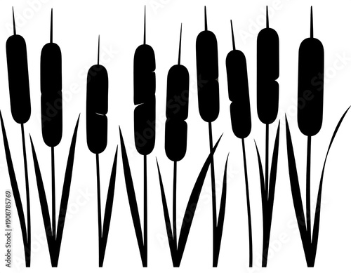 Silhouette of cattails and reeds against a white background