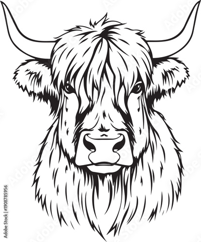 Highland Cow Portrait Head Hand-drawn Sketch Drawing Vector Illustration, Line Linear Symbol Engraving for Coloring Book, Black and White, Isolated