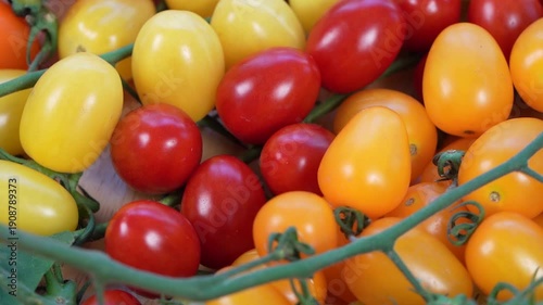 Colorful premium cherry tomatoes in red, yellow, orange and green tones filling the frame, fresh organic produce concept for healthy eating, vegan diet and farm to table food video