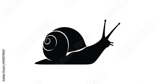 A black silhouette of a snail on a white background