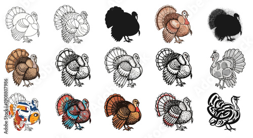 Collection of Turkey Illustrations in Various Styles.