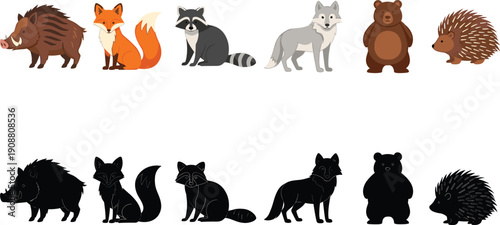 Forest wild animals set, boar fox raccoon wolf bear hedgehog, cute wildlife illustration, cartoon and silhouette collection isolated