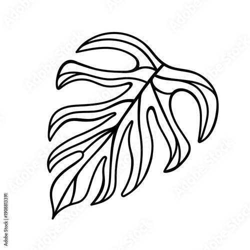 Monstera deliciosa vector icon. Large leaf of a tropical liana with veins. Botanical clipart, black and white drawing. Exotic houseplant, Swiss cheese plant. Hand drawn sketch, floral silhouette