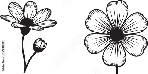 Sketch style vector illustration of flowers and a flower bud in outline form on a transparent background