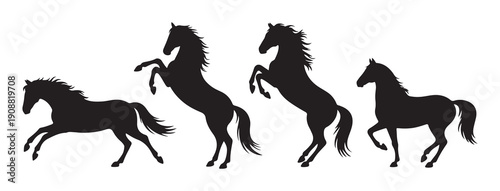 Equine stallion silhouettes collection with rearing and walking poses for equestrian sports animal graphics