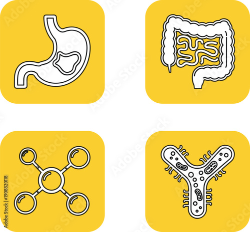 Digestive system and microbiome icons showing stomach, intestines, molecules, and bacteria, medical health illustration set for wellness design