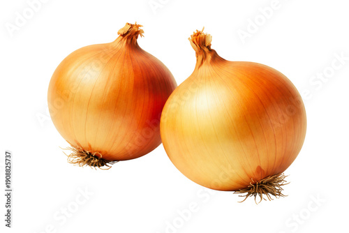 Wallpaper Mural photograph of two whole raw yellow onions with their papery skins and dry stems, perfect for adding flavor to any savory dish or meal. Torontodigital.ca