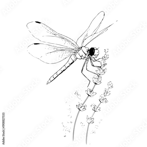 Dragonfly resting on a flowering plant stem in a serene natural setting with delicate wings
