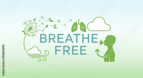 Gardening transformation from empty raised bed to blooming flower garden with plants gardening tools and hose