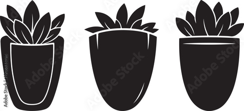 Black and white succulent plants in pots illustration set
