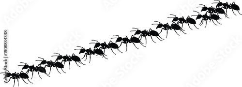 Black silhouette vector of a trail of ants marching in a line, small insect worker colony, isolated on white background.