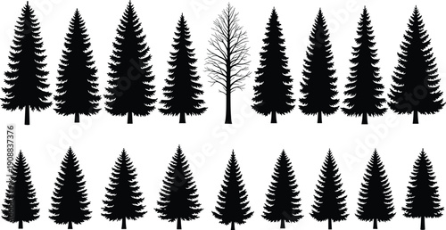 Collection of Pine and Fir Tree Silhouettes Including Evergreen and Bare Tree Isolated as Black Forest Vector Set on White Background