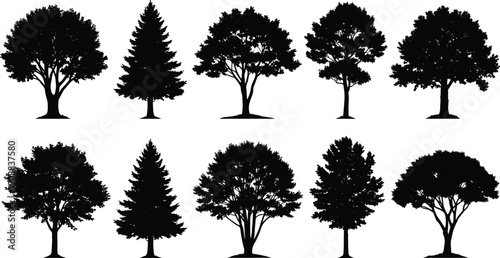 Collection of Realistic Tree Silhouettes Including Deciduous and Evergreen Forest Trees Isolated as Black Vector Set on White Background