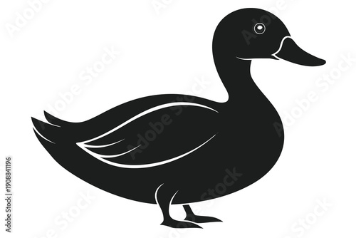 duck vector illustration