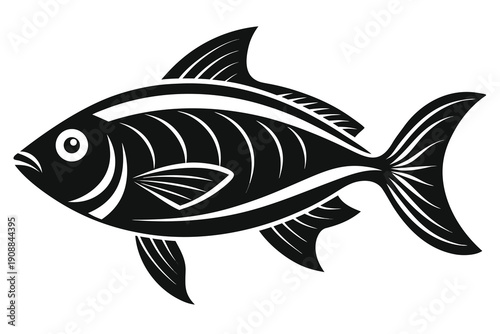 fish on a white background
