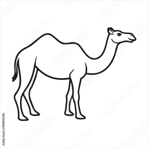camel line art victor art white background