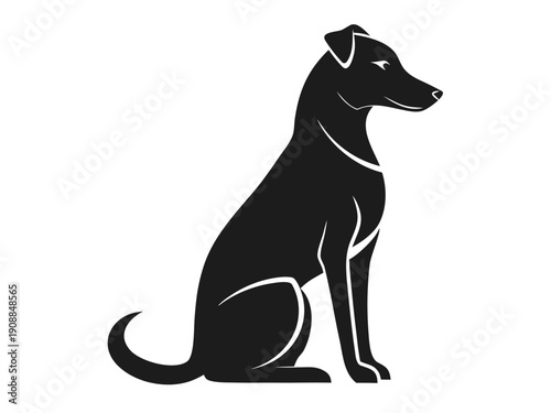 silhouette of a dog