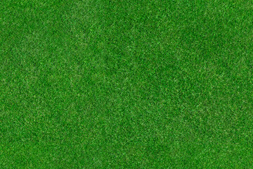 Grass – seamless aerial top view texture of green sports field grass pitch. Background for golf, soccer, football or rugby turf.