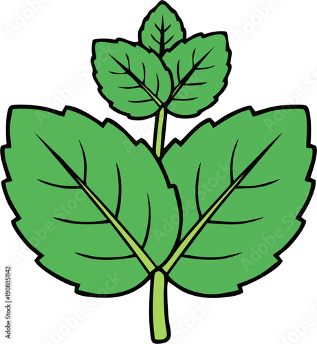 Mint Leaves Icon Clipart, Simple Green Peppermint Herb Line Art Illustration