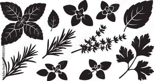 Collection of various leaf silhouettes on white background illustration